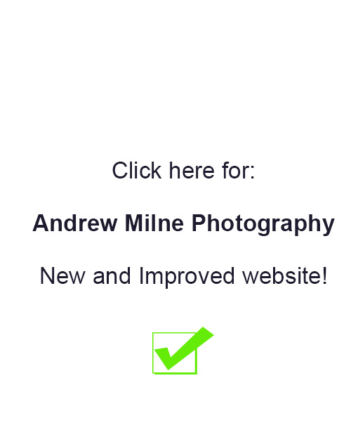 Andrew Milne New and Improved website link for Corporate Event Photographer in South Florida